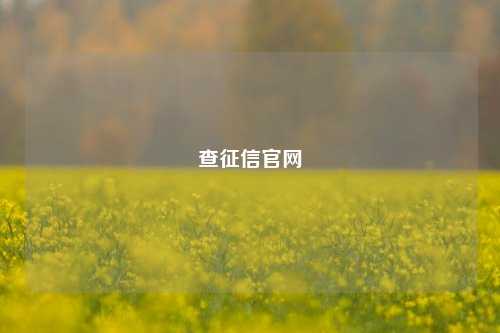 查征信官网